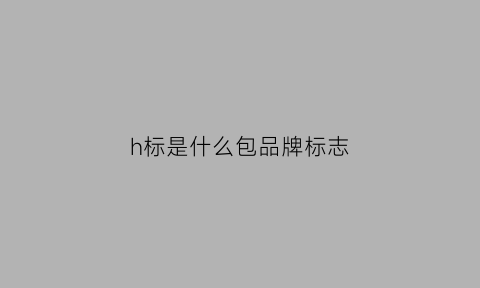 h标是什么包品牌标志(logo是h是什么牌子包包)