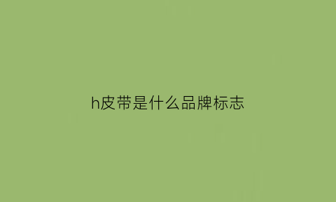 h皮带是什么品牌标志