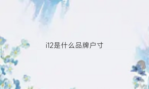 i12是什么品牌户寸(手机i12是什么品牌)