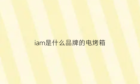 iam是什么品牌的电烤箱(iam的烤箱怎么样)