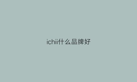 ichii什么品牌好(icraig是什么品牌)