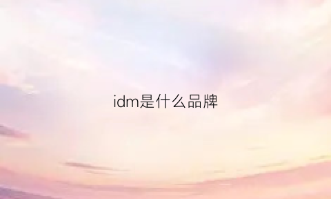 idm是什么品牌(idm啥意思)