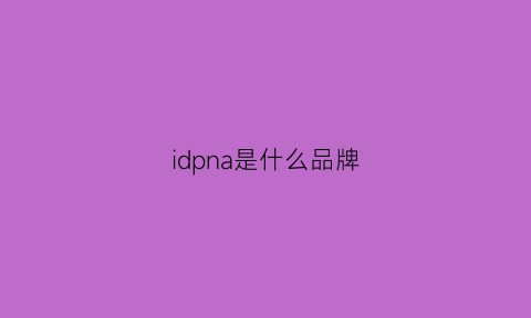 idpna是什么品牌(idpan是什么牌子中文)