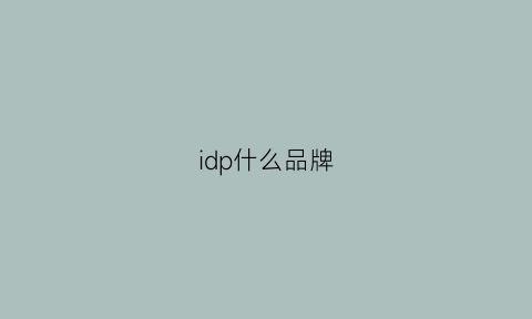 idp什么品牌(idp是什么)