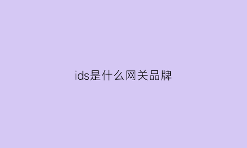 ids是什么网关品牌(网络ids和主机ids)