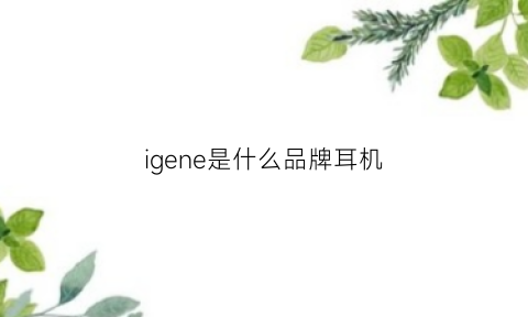 igene是什么品牌耳机(igene蓝牙耳机怎么样)