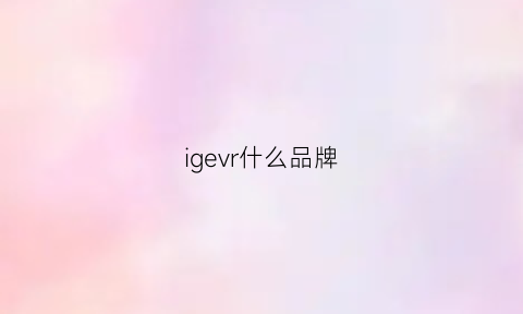 igevr什么品牌(igv的中文是什么品牌)