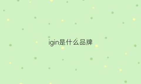 igin是什么品牌