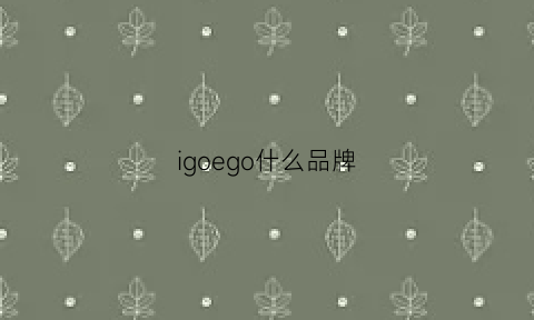 igoego什么品牌(igoego是什么牌子)