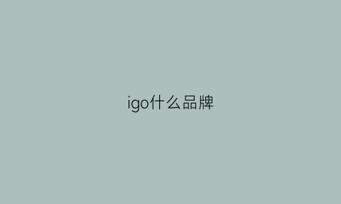 igo什么品牌(ig是什么品牌)