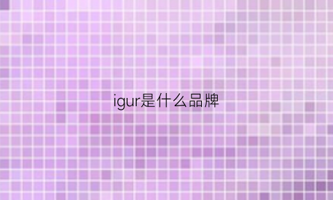 igur是什么品牌(igear是什么牌子)