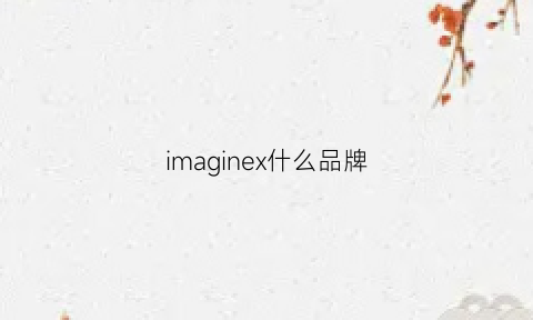 imaginex什么品牌(imiix是什么牌子)