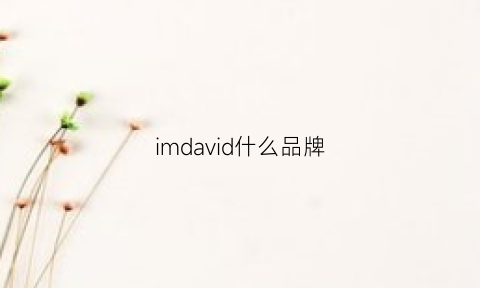 imdavid什么品牌(iamdavid品牌)