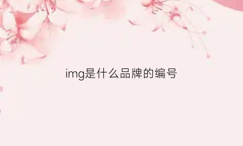 img是什么品牌的编号(img是什么牌子)