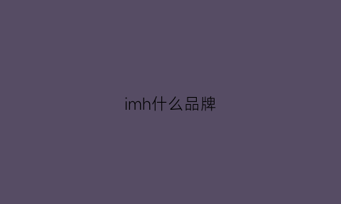 imh什么品牌(imi是什么牌子)