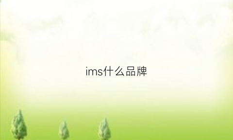 ims什么品牌(imx是什么品牌)