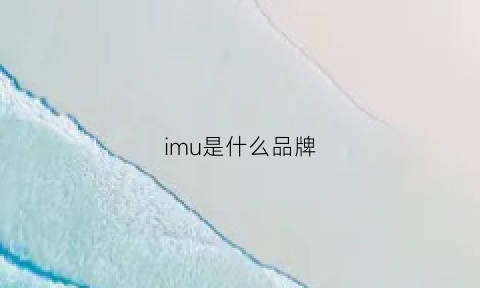 imu是什么品牌(imusa是什么牌子)