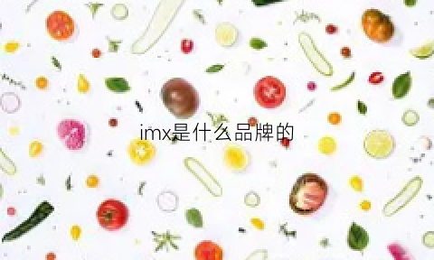 imx是什么品牌的(immex是什么)