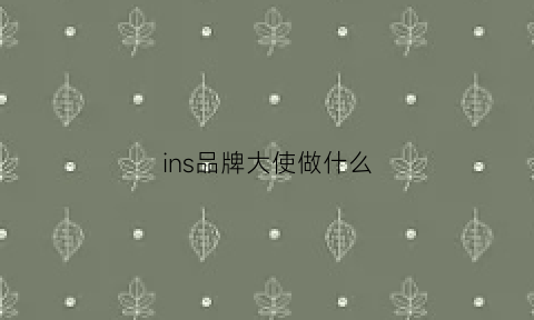 ins品牌大使做什么