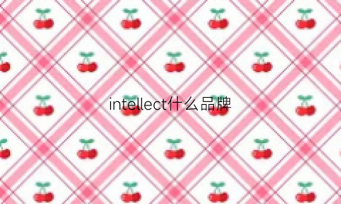 intellect什么品牌(intellect)