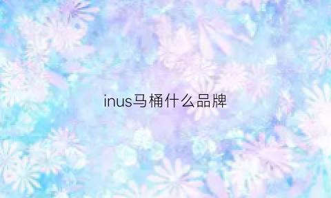 inus马桶什么品牌