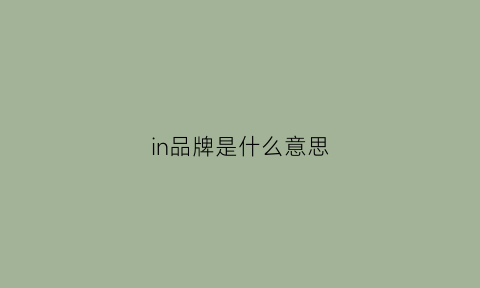 in品牌是什么意思(inan是什么牌子)