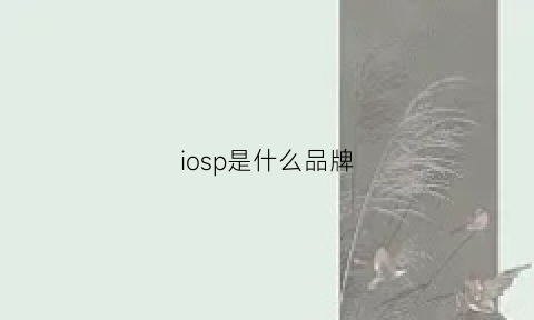 iosp是什么品牌(ipop是什么)