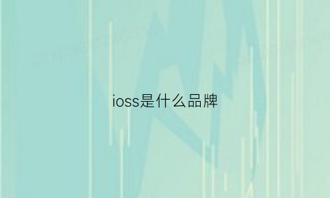 ioss是什么品牌(pgs是什么品牌)