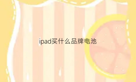 ipad买什么品牌电池(ipad买什么品牌电池耐用)