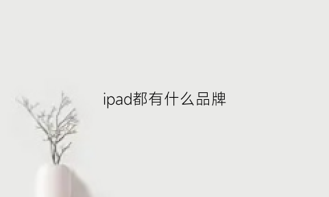 ipad都有什么品牌(ipad品种有哪些)