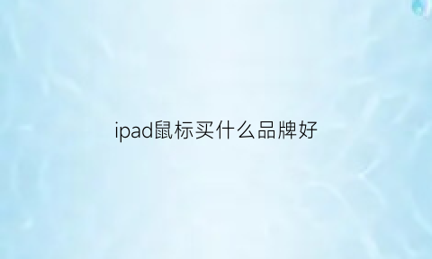 ipad鼠标买什么品牌好