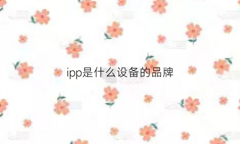 ipp是什么设备的品牌(ipp是什么意思)