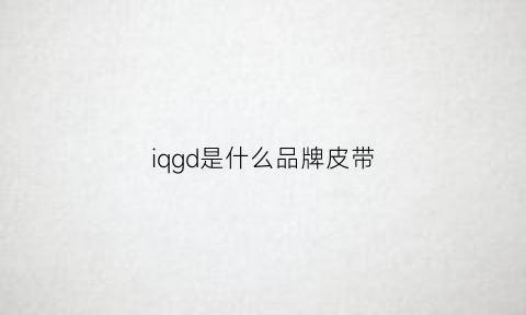 iqgd是什么品牌皮带(dg皮带)