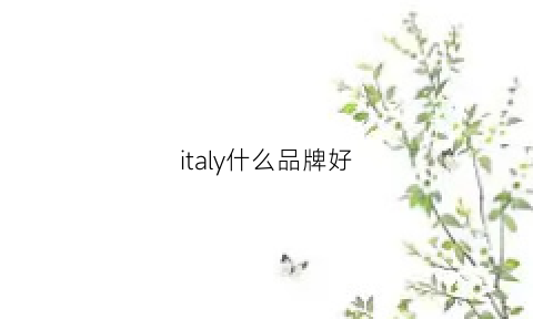 italy什么品牌好(italic品牌)