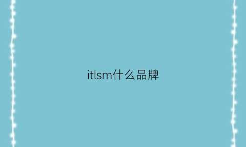 itlsm什么品牌(itsisa什么品牌)