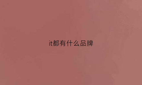 it都有什么品牌(it有几个品牌)