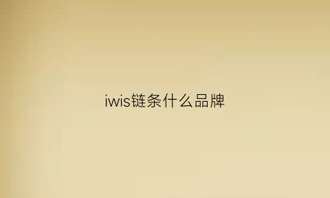 iwis链条什么品牌(wsr链条)