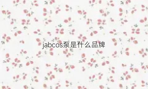 jabcos泵是什么品牌(iswb是什么泵)