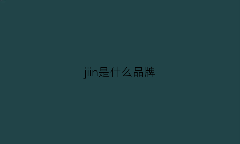 jiin是什么品牌(jijon到底什么牌子)