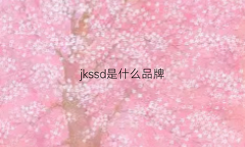 jkssd是什么品牌(jds是什么牌子)