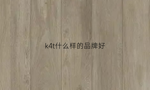 k4t什么样的品牌好(kt4值不值得买)