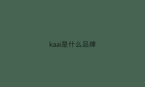 kaai是什么品牌(kaavi是什么牌子)