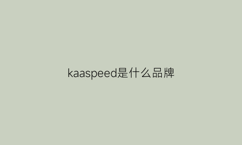 kaaspeed是什么品牌(kadespade是什么牌子)