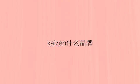 kaizen什么品牌(kaizenshop)