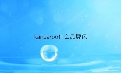 kangaroo什么品牌包(kangol包包是什么牌子)