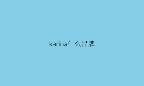 karina什么品牌