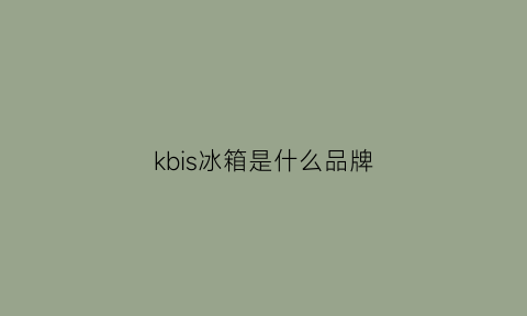 kbis冰箱是什么品牌(skipio冰箱是什么牌子)