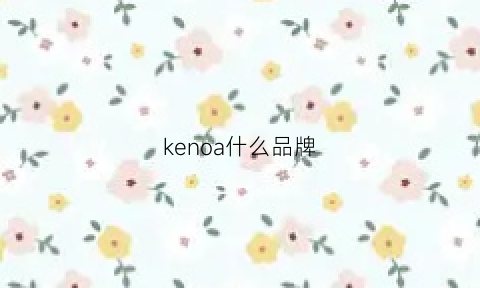 kenoa什么品牌(kenshoabe是什么品牌)