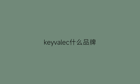 keyvalec什么品牌(keysvia是什么牌子)