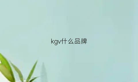 kgv什么品牌(kgc是什么品牌)